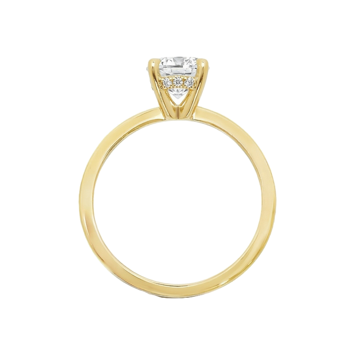 Covenant Hidden Halo Setting 14K Gold