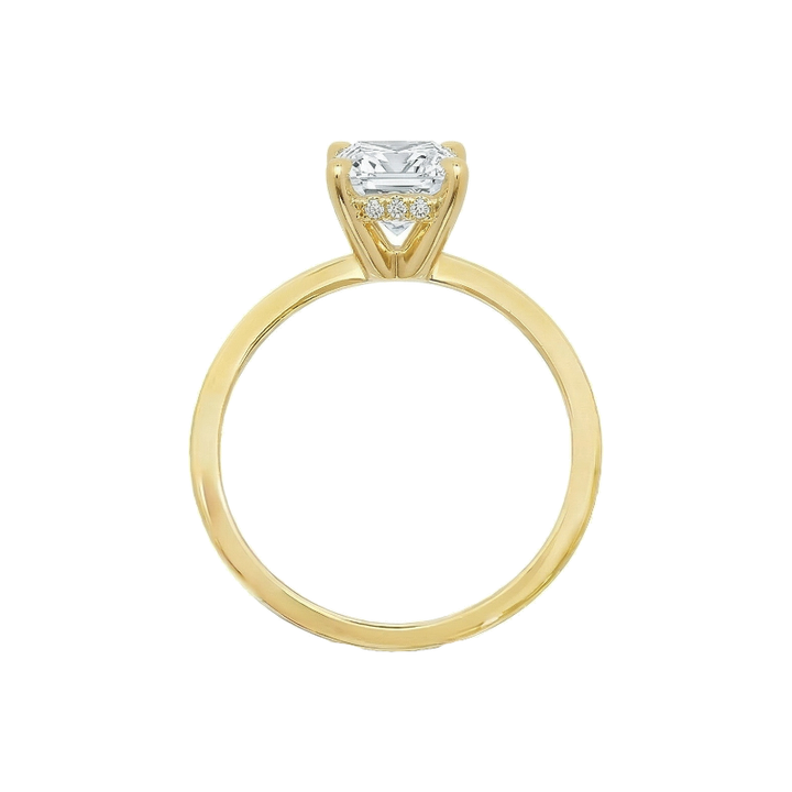 Covenant Hidden Halo Setting 14K Gold