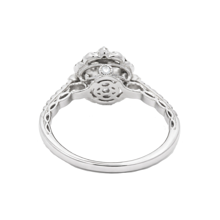 Emerald-Cut Lab Diamond Halo Engagement Ring 14K White Gold 1.04CT