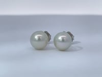 Pearl Stud Earrings 14K White Gold 7MM Classic